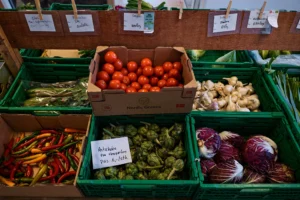 Fresh organic vegetables displayed in the Birkemosegaard farm shop