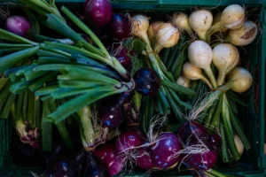 Freshly harvested onions and vegetables from the farm