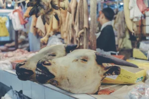 Close view of an animal head displayed on a wet-market counter, with vendors and hanging meat in the background.